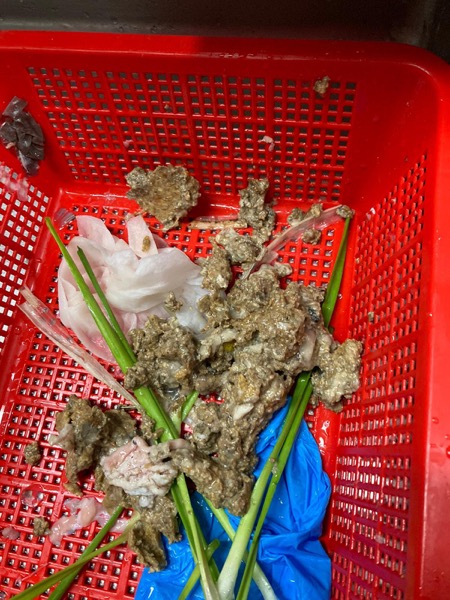 DrainFix HK 從食肆隔油池挖出嘅食物殘渣 + 塑膠手套碎擺在紅色塑膠籃