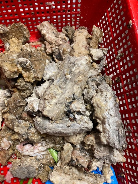 DrainFix HK 從渠管挖出嘅硬化淤泥磚石碎混合塊堆積喺紅色塑膠籃