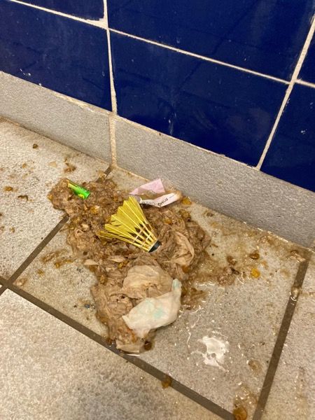 DrainFix HK 從廁所挖出嘅塞渠物：一個完整羽毛球 + 大量纖維廁紙堆積