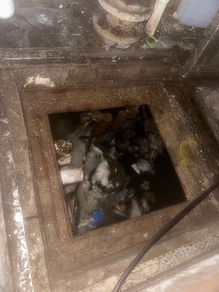 DrainFix HK 食肆地下方形 sump pit 充滿食物殘渣、紙巾、塑膠混合污水